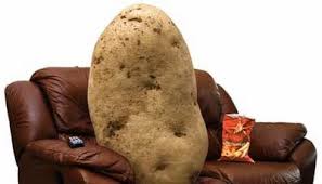 Image result for couch potato