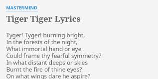 Tyger tyger, burning bright, in the forests of the night; Tiger Tiger Lyrics By Mastermind Tyger Tyger Burning Bright