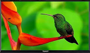 You'll need to mount a dish (technically called an antenna) onto your rv. How To Watch Tv In Rv While Driving Rv Living Usa