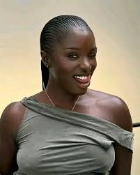 Diary Of A Northern Rival 2 26 Later that day, we all gathered in the  parlour—Aliya included, though she sat apart, her watchful gaze