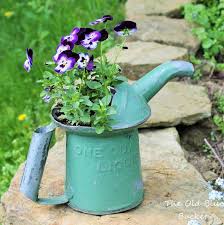 Sweet Violas Vintage Containers Vintage Planters Container Plants