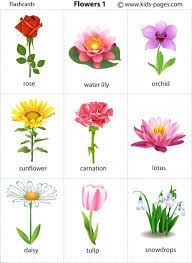 Maybe you would like to learn more about one of these? Flower Names And Pictures Pdf