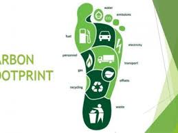Carbon Footprint Calculator Save A Train