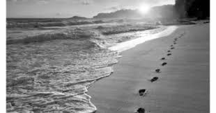 Black And White Beach Scene Wall Art Pin By Betsy Noonan On Photography Hawaii Art Print God Art Black And White Beach