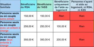 See other definitions of ass. Une Aide Pour Les Allocataires Du Rsa Et De L Ass Ou Les Parents Beneficiaires D Une Allocation Logement Delegation Apf Des Bouches Du Rhone 13