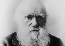 Here's how creationists have creatively tried to undermine the teachings of  evolution in America's classrooms since the Scopes trial in 1925