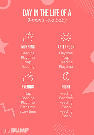 Therefore, your cat needs to eat roughly 3 1/3 cans of this food. 3 Month Old Baby