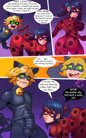 Ladybug and cat noir xxx