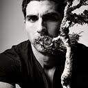 The Tree from The Shawshank Redemption Breaks its Silence