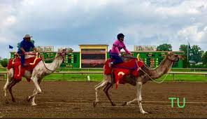 Saturday, she won her first start on a camel at the same track, taking the camel. Everything Is Escalating At Ellis Park Page 2 Of 2 Thoroughbred U