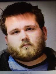 Dansville man convicted