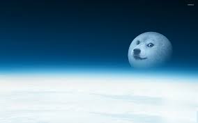 I know exact why she agreed to this! Doge 2 Wallpaper Meme Wallpapers 27301