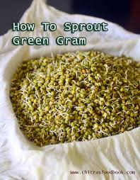 How To Make Sprouts At Home Moong Bean Sprouts Green Gram Sprouts Recipe How To Make Sprouts Easy Autumn Recipes Sprouts