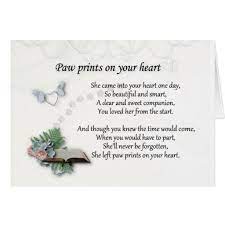 Paw print on wn network delivers the latest videos and editable pages for news & events, including entertainment, music, sports, science and more, sign up and share your playlists. She Left Pawprints On Your Heart Sympathy Card Zazzle Com Sympathy Quotes For Loss Sympathy Quotes Pet Poems