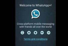 The app also comes with a new and improved payment feature. Whatsapp Plus Download Shareware De
