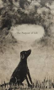 Pin On I Had A Black Dog His Name Was Depression