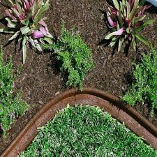 With its innovative mower edge design, there's no need for the trimmer and installation is as easy as 1, 2, 3! Ecoborder Eco6pk Blkw 24 Ft No Dig Landscape Edging 6 Pack For Sale Online Ebay