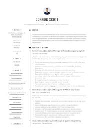 How to write a resume? Business Development Manager Resume Guide 12 Templates Pdf