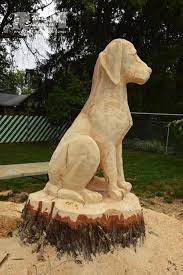 pin auf dogs in art craft photography