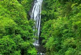 Moment liburan ini sangat di nantikan karena pada saat liburan bisa lebih lama berkumpul bersama keluarga dan juga kerabat untuk berbincang. 15 Tempat Wisata Majalengka Paling Hits Bernuansa Alam