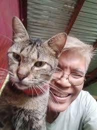 Introducing pet cat Bogie