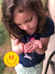 The Upcycled Maverick