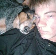 Why does my 94-98 Mustang sometimes idle down and die?