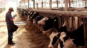 Livestock Management II - ClassNotes.ng