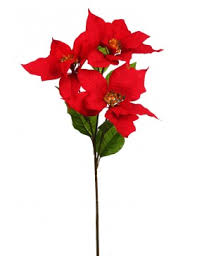 No son las flores de esta planta las que son rojas. Rama Flor De Pascua 72cm Al Mejor Precio