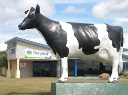 There is a significant gap between the bottom 10 percent of earners and the top 10 percent of earners. Dairy Farming In New Zealand Wikipedia