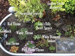 Miniature Garden Therapy Mission Spark Joy Fairy Garden Plants Fairy Garden Pots Fairy Garden Designs