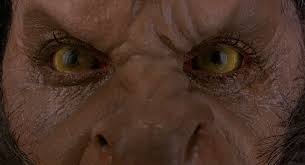 Night 27 An American Werewolf In London 1981 American Werewolf In London Werewolf Best Horror Movies