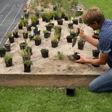 Sandbeete Anlegen Und Bepflanzen So Geht S Garten Bepflanzen Garten Lavendel Dekosteine Garten