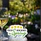 Tasting Class: Fresh New Wines for Spring