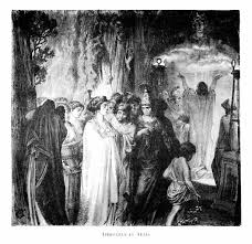 Image result for Iphigenia pauciflora