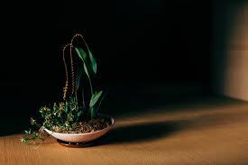 Maybe you would like to learn more about one of these? A New Twist On Terracotta Pots From A Japanese Maker Object Of Desire