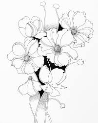 Three ways to draw an anemone, a quick video for each flower: Late Summer Early Autumn These Japanese Anemones Were Blooming Everywhere There S A Lightness To These Flowers That Is S Fineliner Art Floral Art Ink Drawing