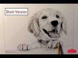 Lets start by drawing three connected oval shape circles for his head, body and tail. Pencil Drawing Dog 1 How To Draw Fur Short Version How To Draw A Dog Draw Dog Animal Drawings