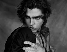 White Feathers Projects :: Photos, videos, logos, illustrations and  branding :: Behance