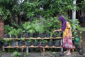 Tips cara berkebun di halaman rumah yang sempit dengan vertikal garden gambar. Berkebun Di Lahan Sempit Rumah Tak Butuh Biaya Tinggi