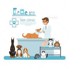 Animals In Cabinet Of Vet Hospital Vector Pet Clinic Vets Animal Hospital