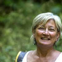 PDF) El pacto espiritual de Mario Levrero