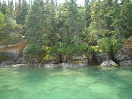 Check spelling or type a new query. Clearwater Lake Cottagers Association Home Facebook