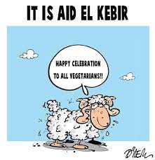 Le sacrifice de l'animal (mouton, brebis. It Is Aid El Kebir Kabylia Blog
