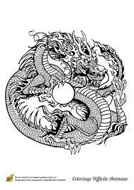 epingle sur coloriages pour adultes coloriage salamandre