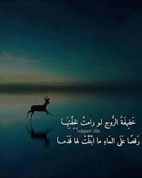 ريم الفلا movie posters instagram poster