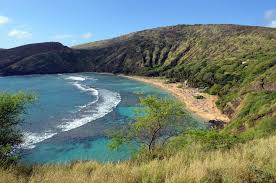 Our snorkeling tour in hanauma bay goes rain or shine. Hanauma Bay Snorkeling Fun Hawaii Travel