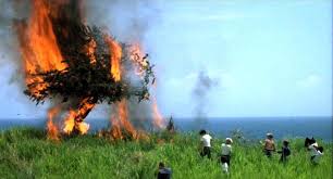 We did not find results for: Lord Of The Flies 1990 Film Starting A Fire