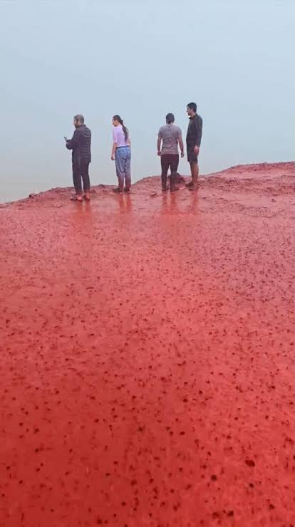 Freaky 'blood rain' phenomenon turns tides and beach red