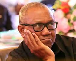 Ikechukwu Obi says: Time To Organize See ehn, Peter Obi fans, we need to  organize. I already see a massive response to what will prove a decisive  political battle in the next